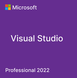 Microsoft Visual Studio 2022 Professional License