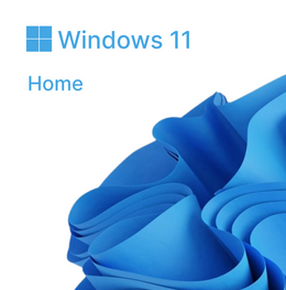 Microsoft Windows 11 Home