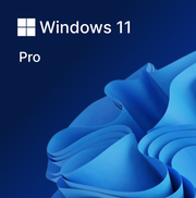 Microsoft Windows 11 Professional 32/64-bit 1PC